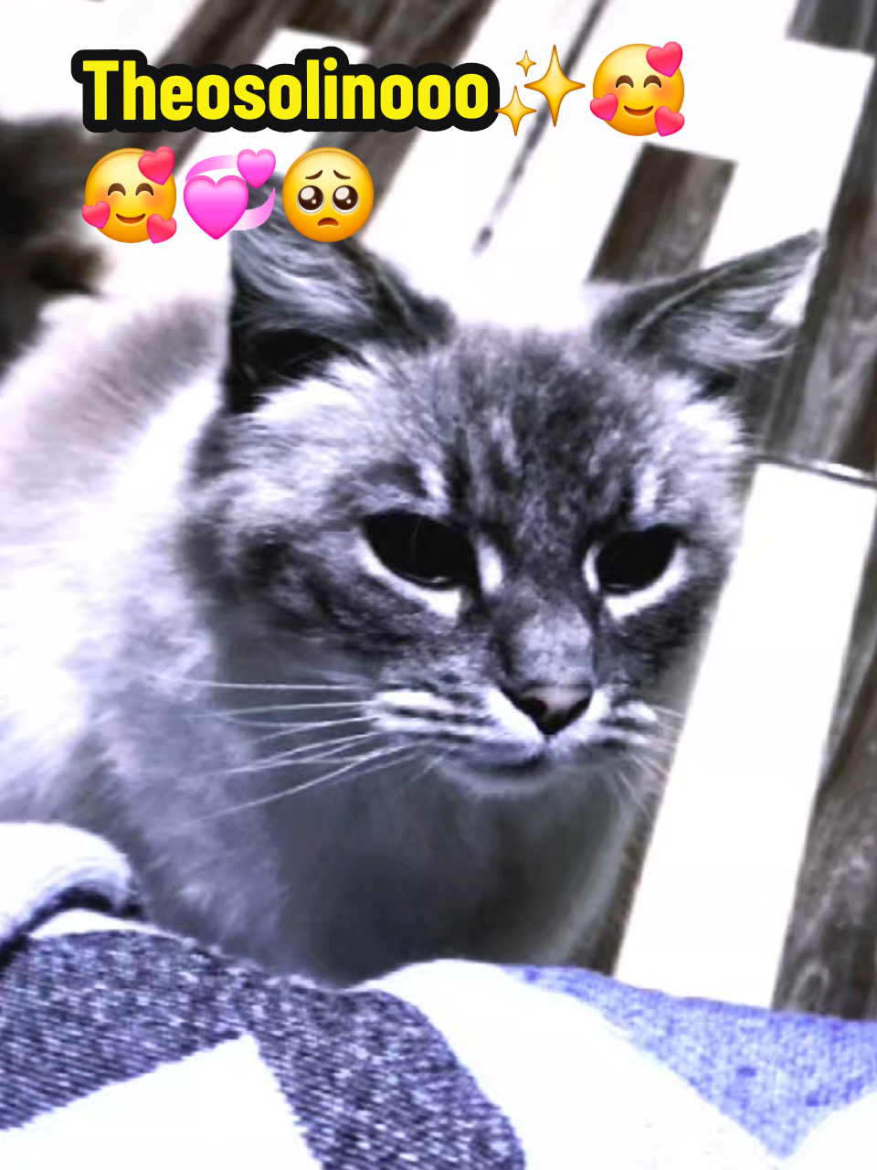 @๐๐ฑ๐พ๐ซ๐ซ๐๐๐ฆ๐ฏ๐ฉ `~โก,