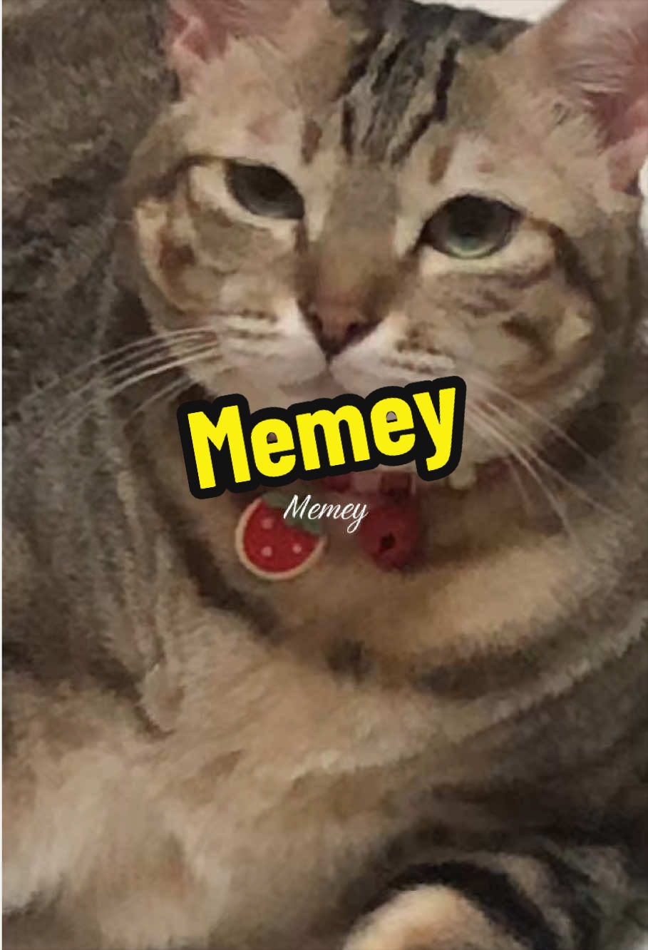 @𐙚 sᴜʀɪᴀ 𐙚