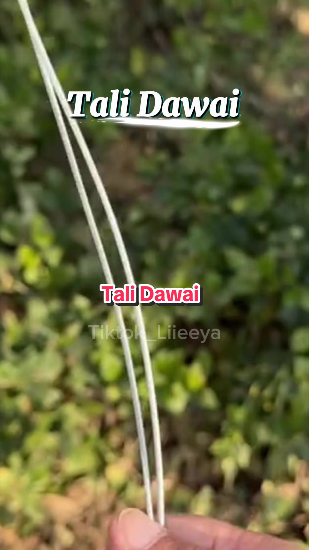@Liya