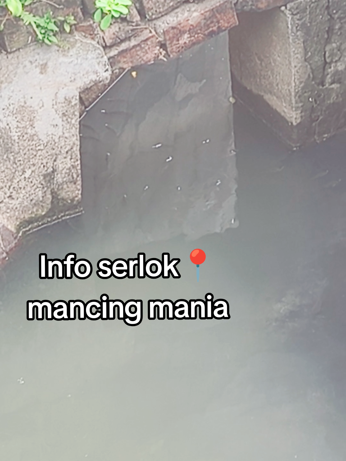 @Ivanard 🗿🗿🗿