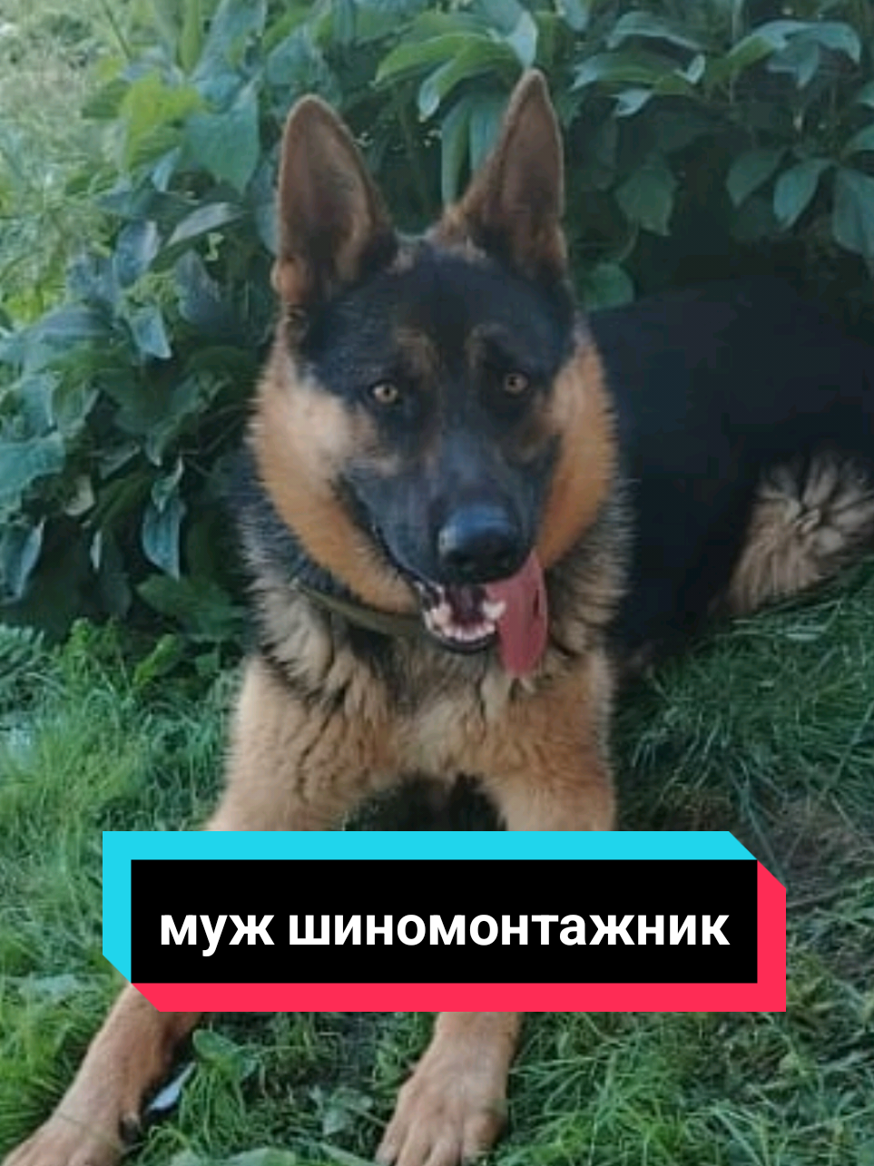 @Рыся✔️🇧🇾