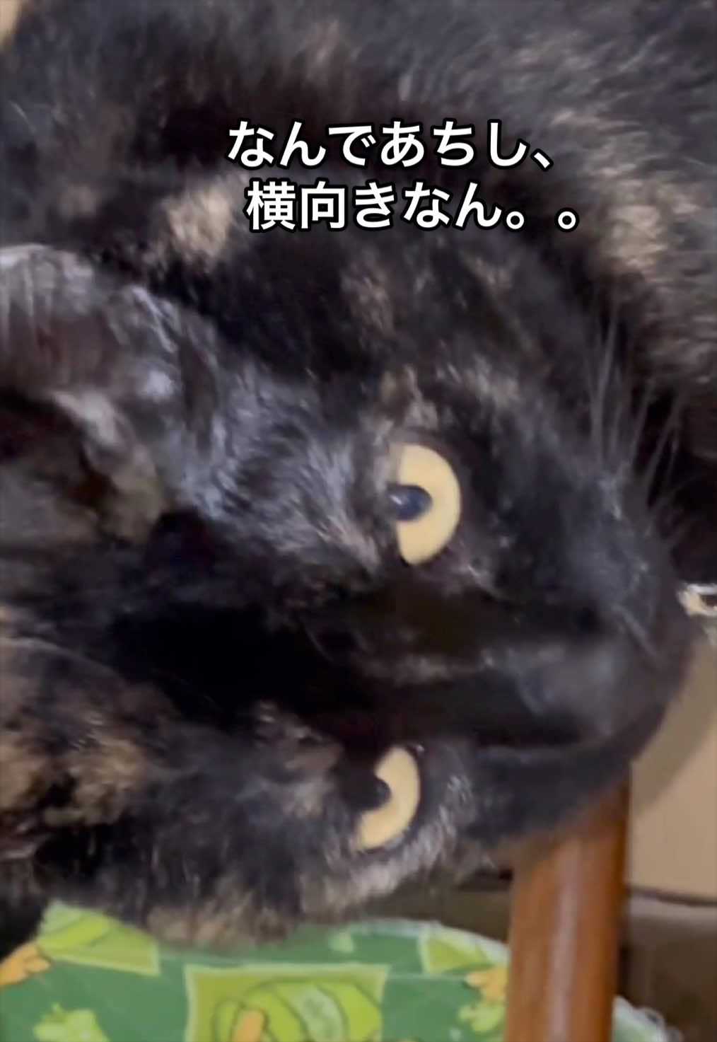 @聴々物語PROJECT