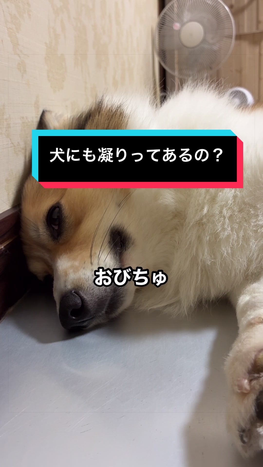 @サクサクビスケット