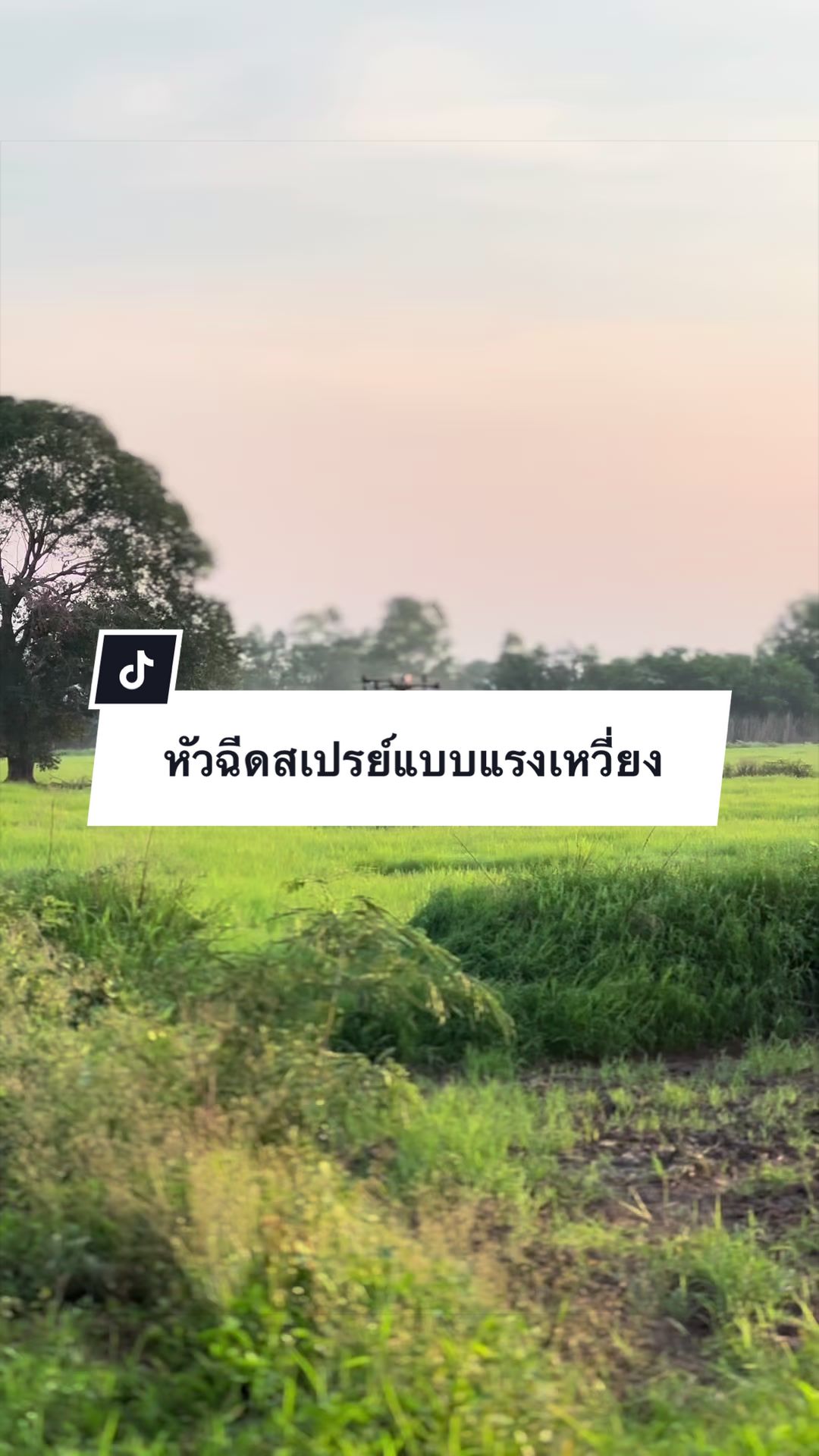 @เจ้าตังค์_โอ้โห_สาขา 1🚼(121K)