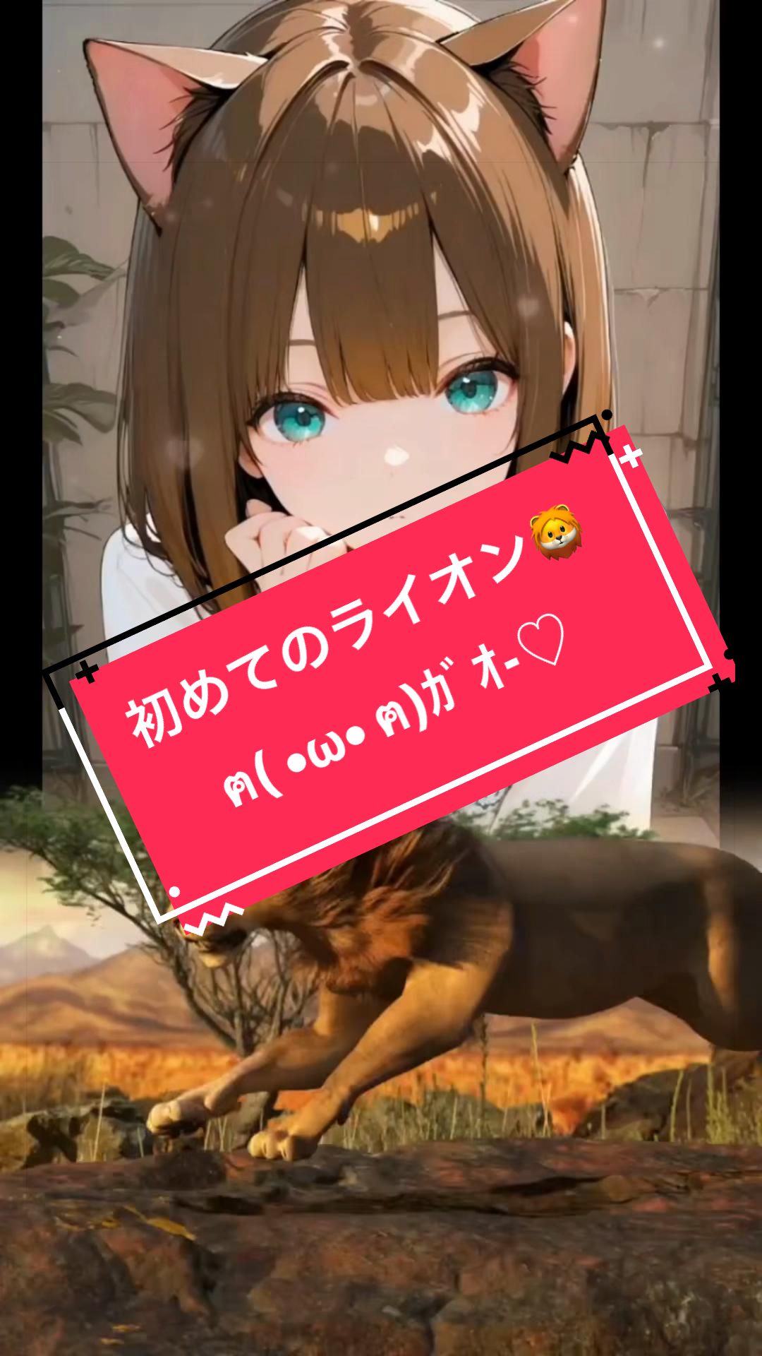 @あずにゃん。🐈⬛🍏❄️