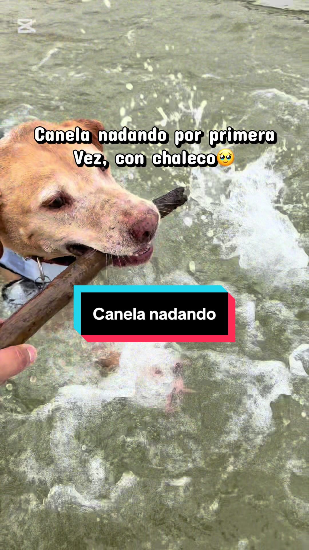 @Leo en BCN