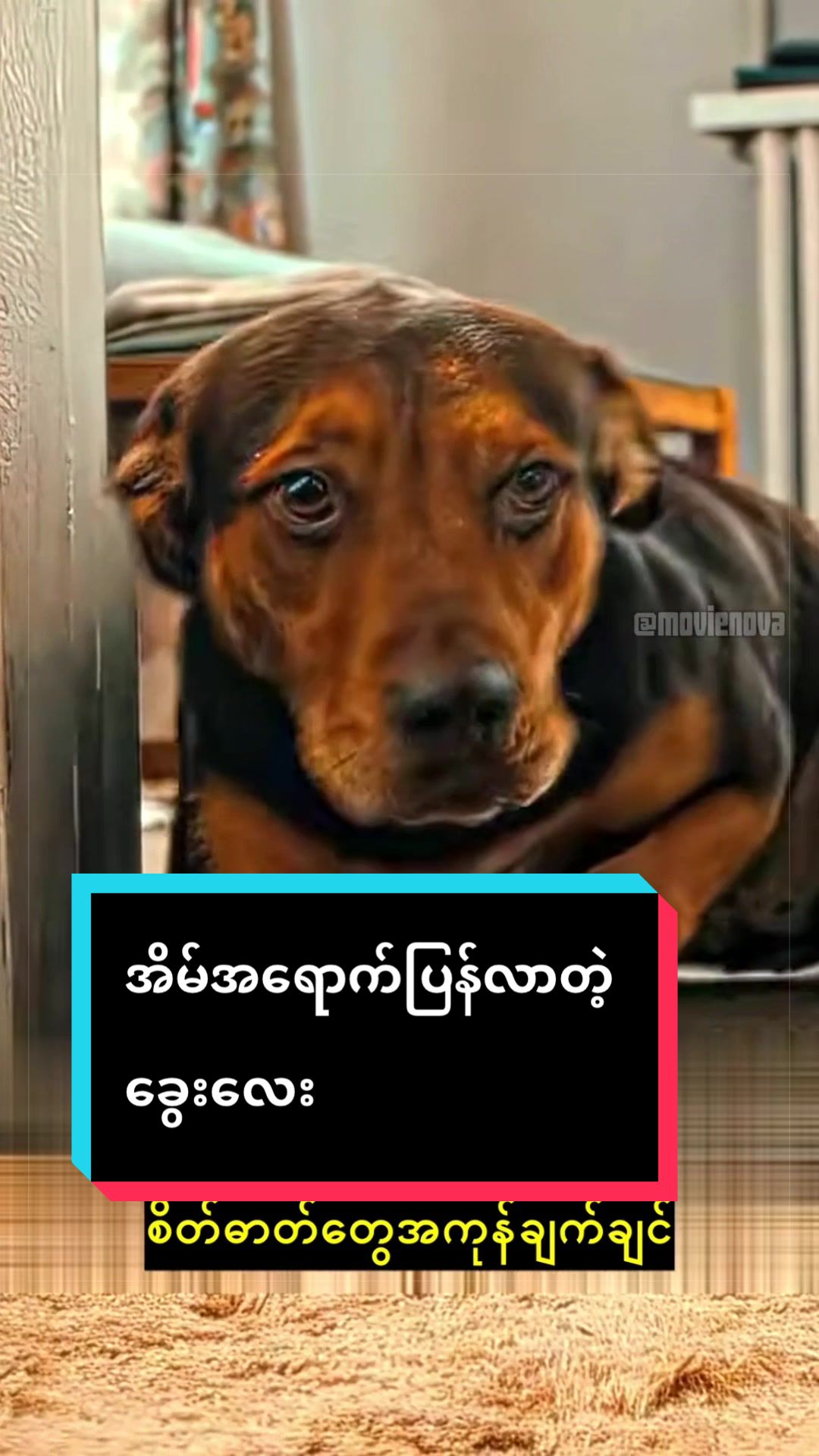@MovieNova