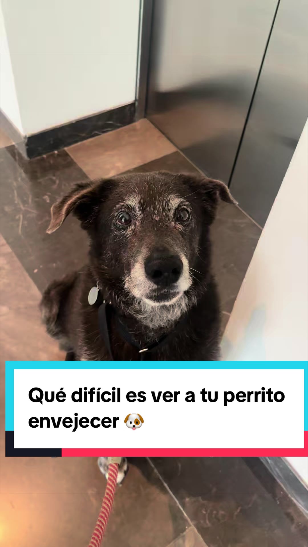 @1minutodepsicologia