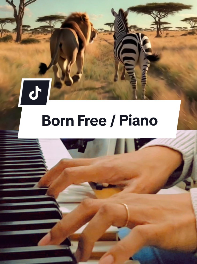 @cozy.piano.vibes