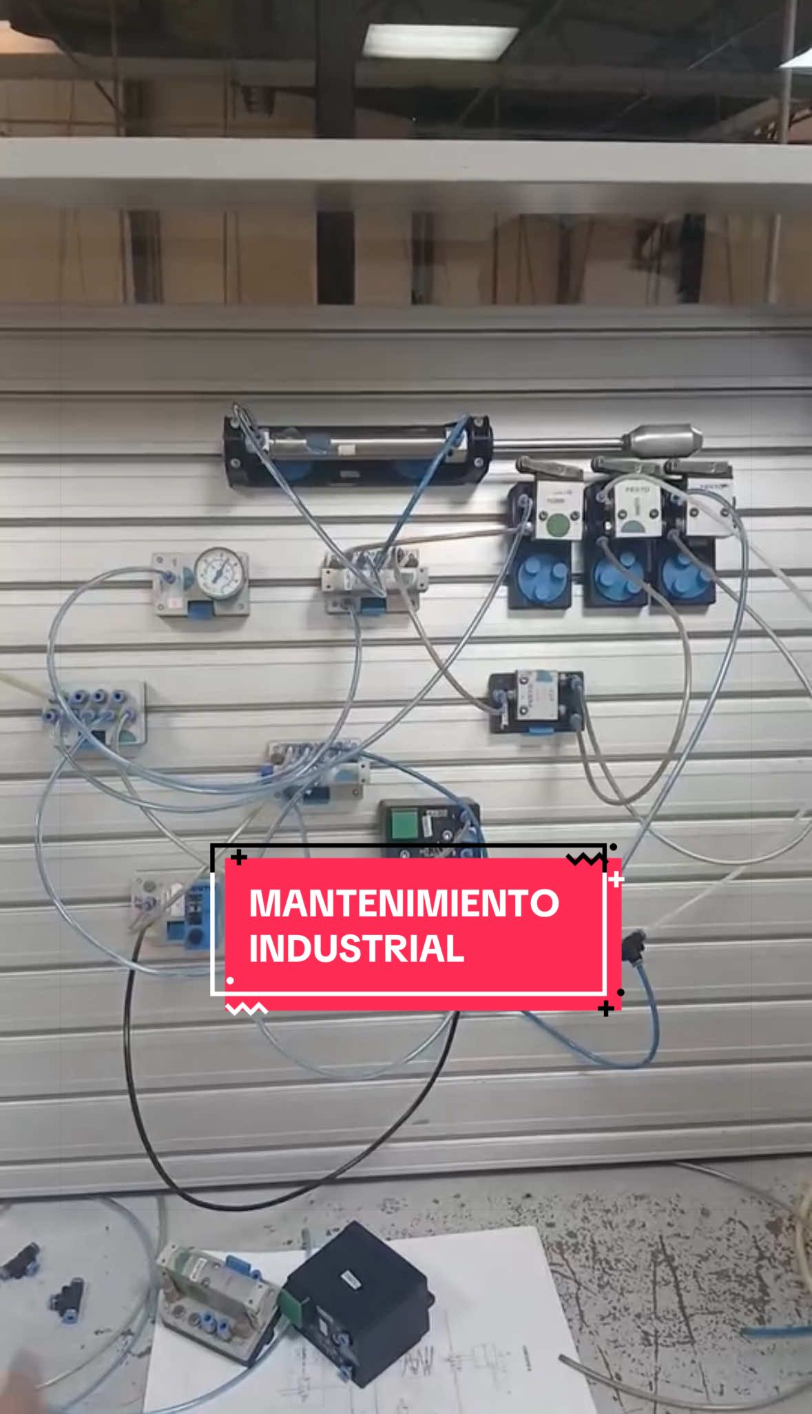 @luisito_solorzano