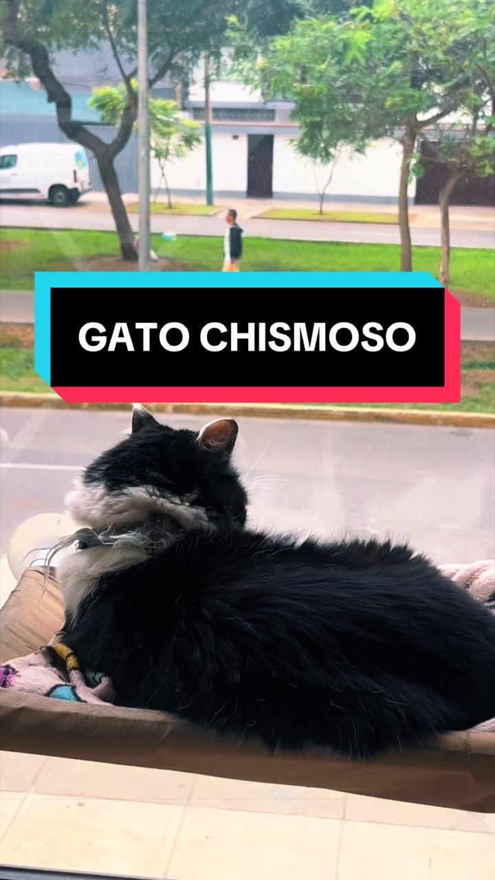 @Jhonabet 