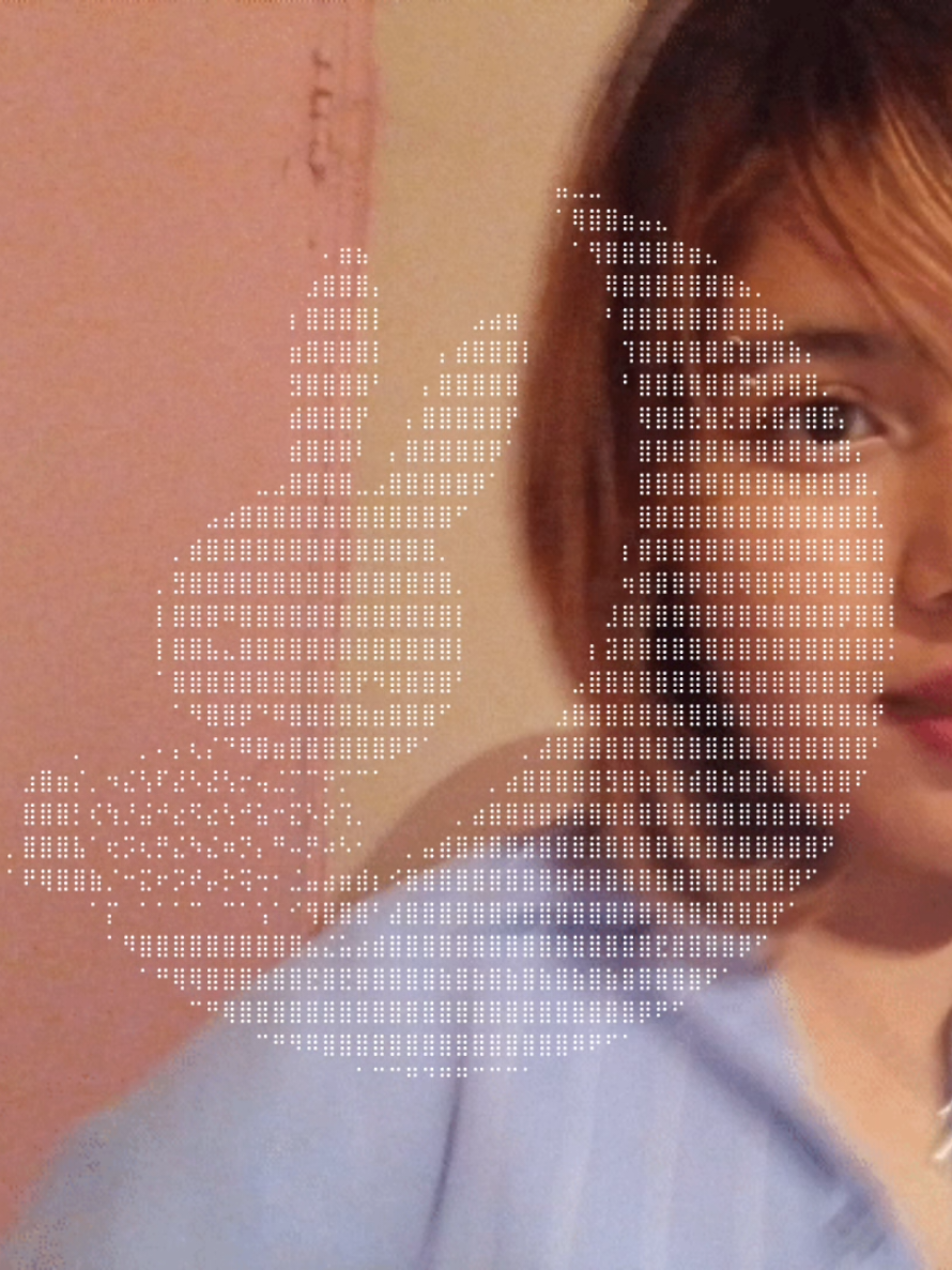 @˚⋆ᐢ. ₓ .ᐢ🧇 空想kittybin ˚˖𓍢ִ໋❀