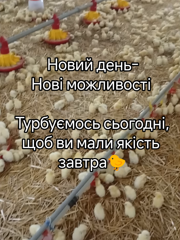 @ЧіКоФерма