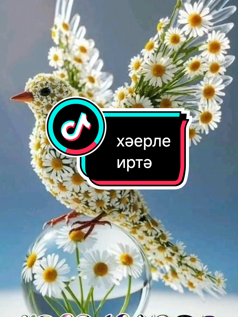 @💕☪татвидео открытки☪︎ 💕