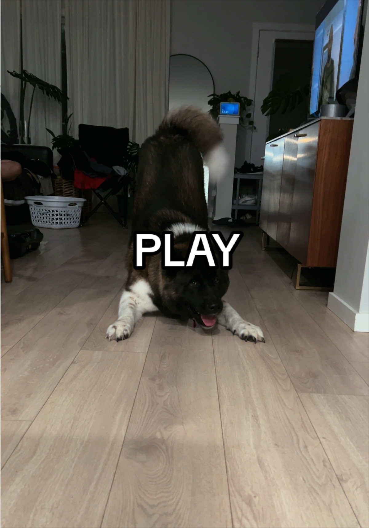 @tiara + winnie