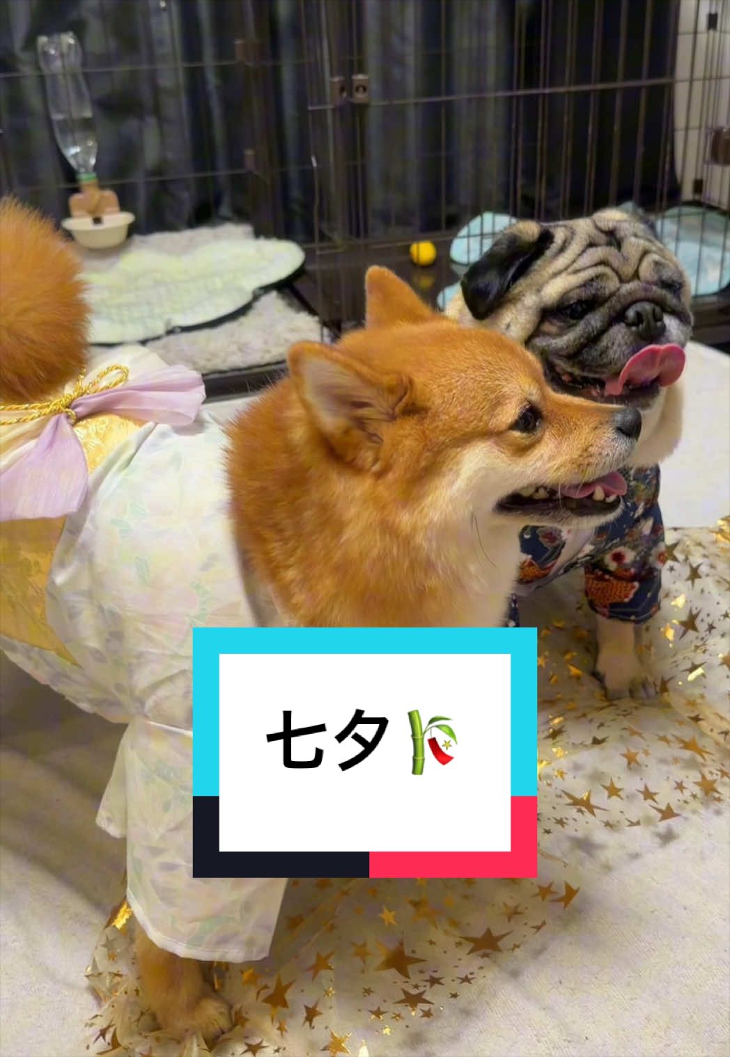 @🐶とん&ぺっぺこぺー🦊