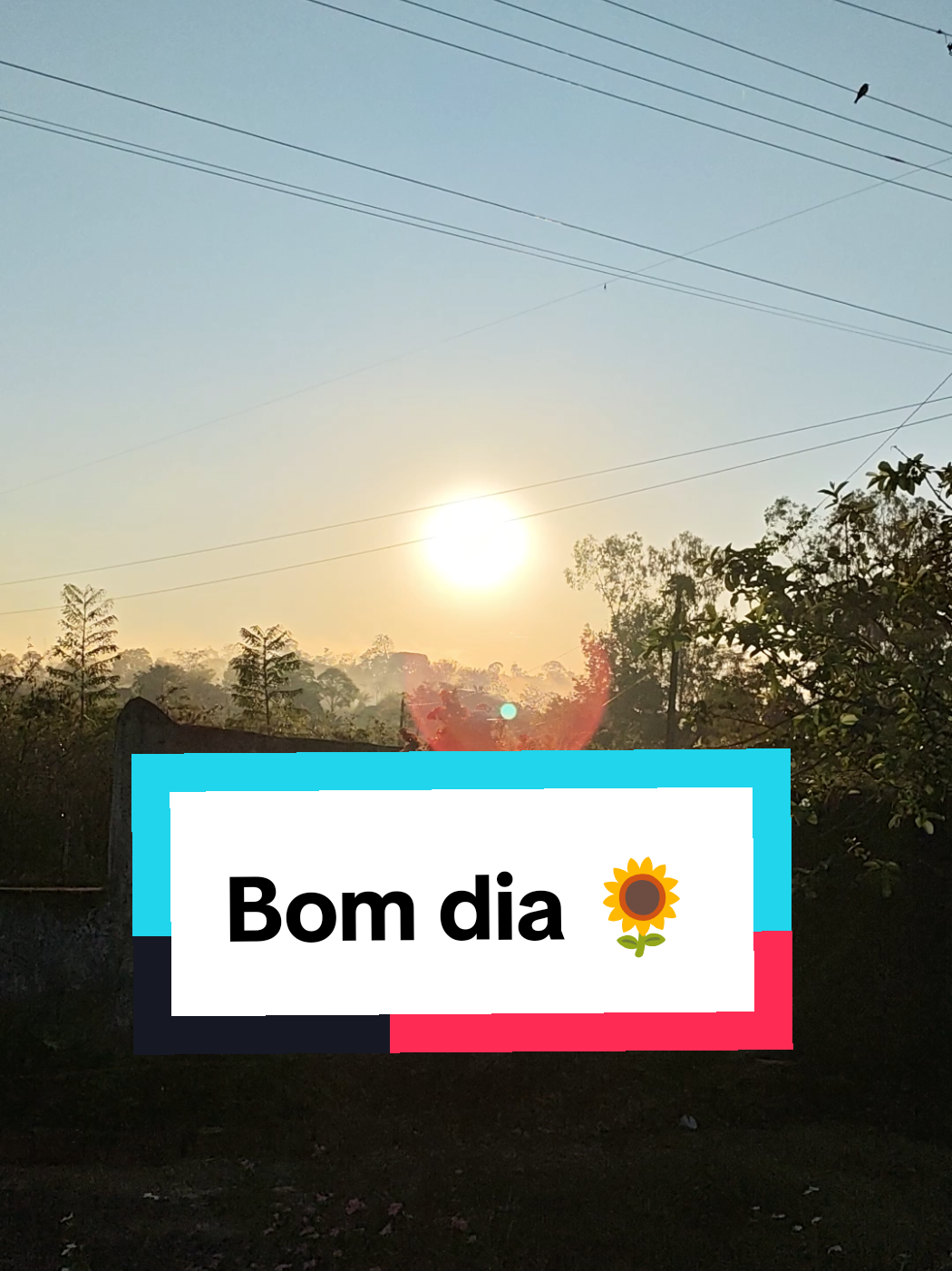 @Jo-Brito ✌️😌🇧🇷🇧🇷