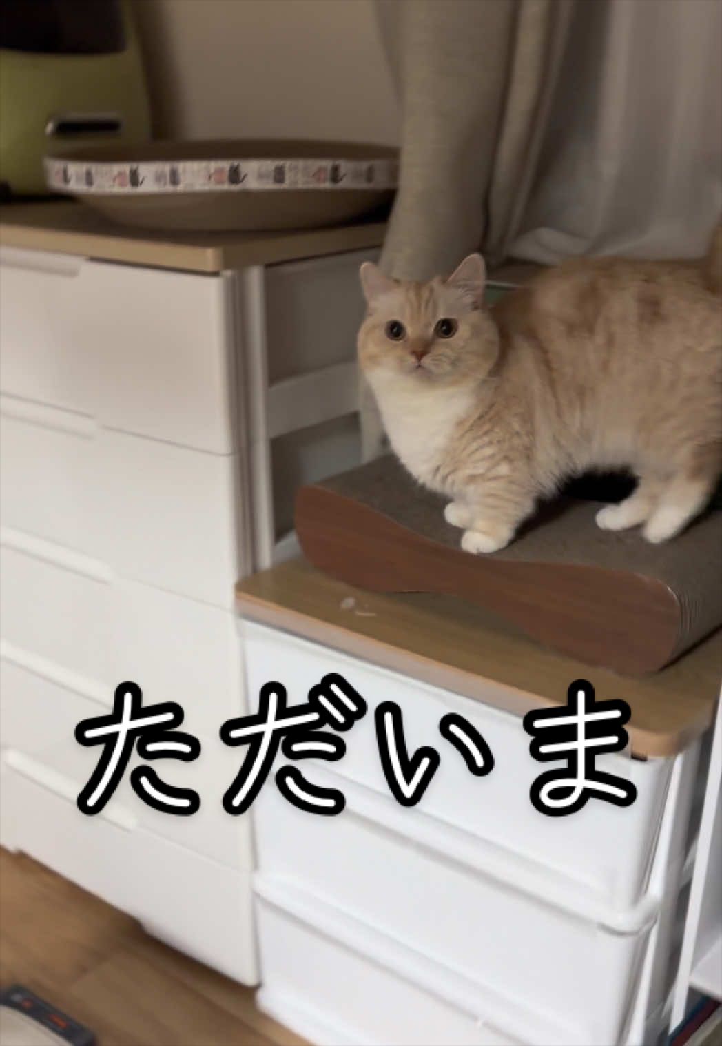 @縫くんと私