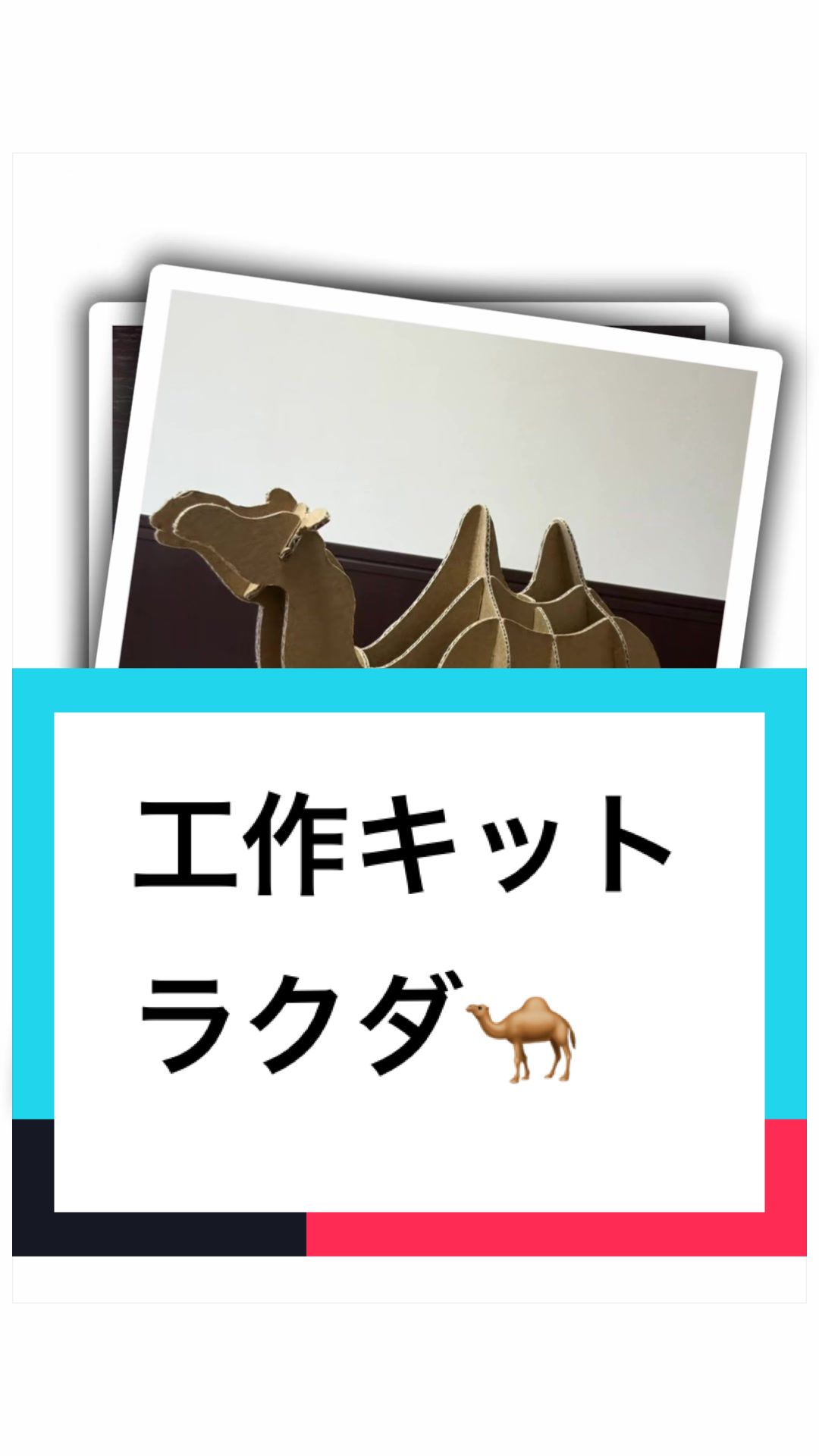 @ダンボール王子🌏♾️🐦&zwj;🔥
