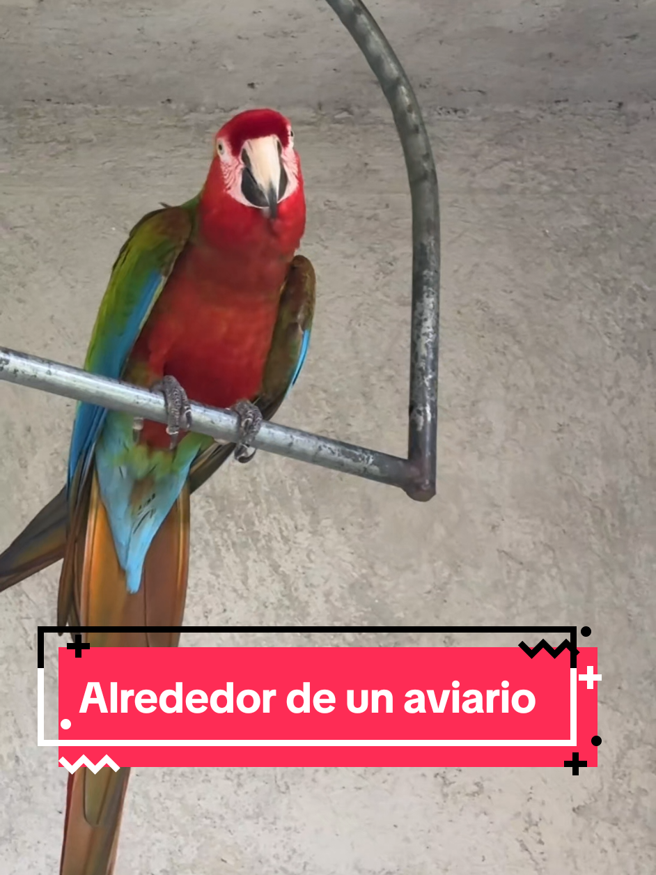 @Trasmuro