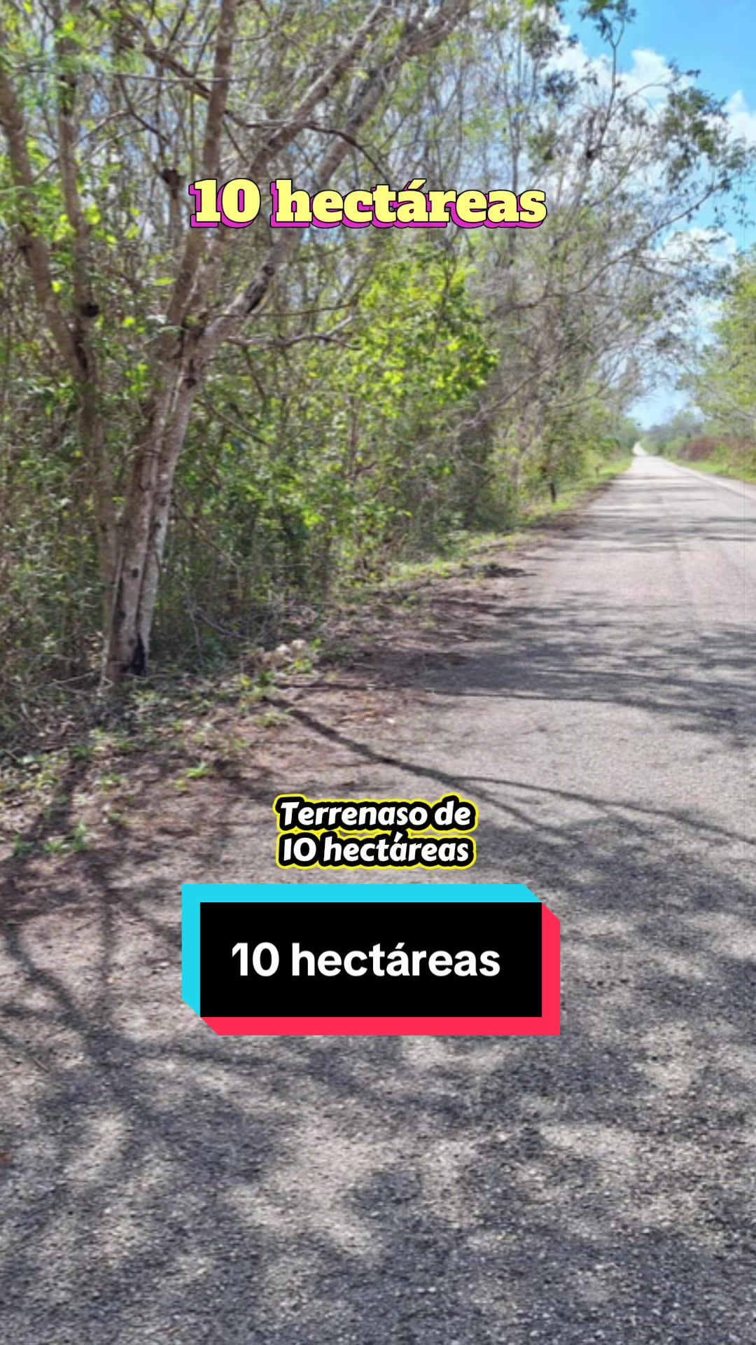 @Chris Cano BR