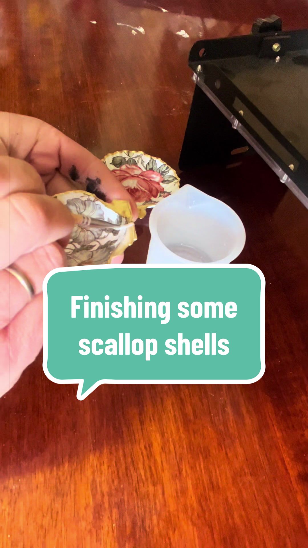 @Dusty J Designs | Shells