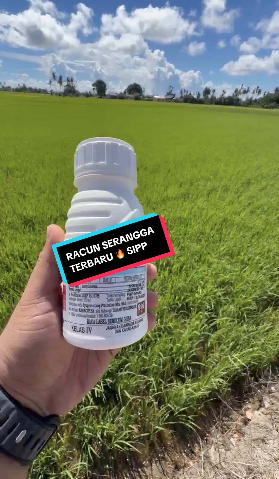 @CY Agriculture