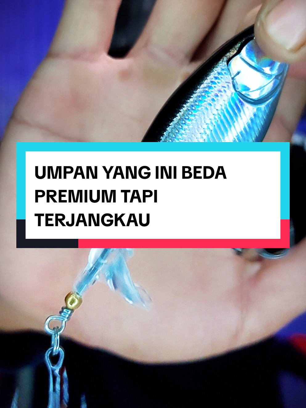 @Indra Permana