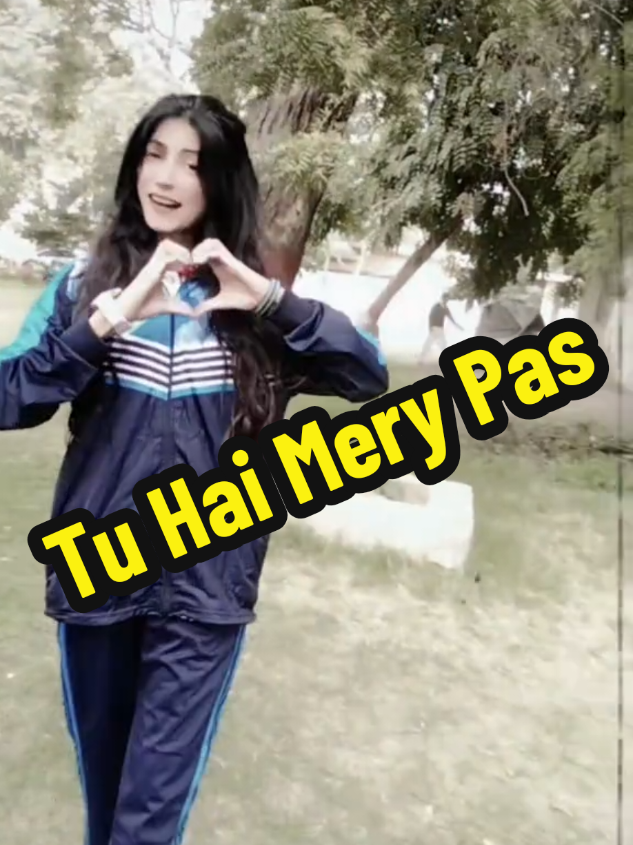 @Tv Artist