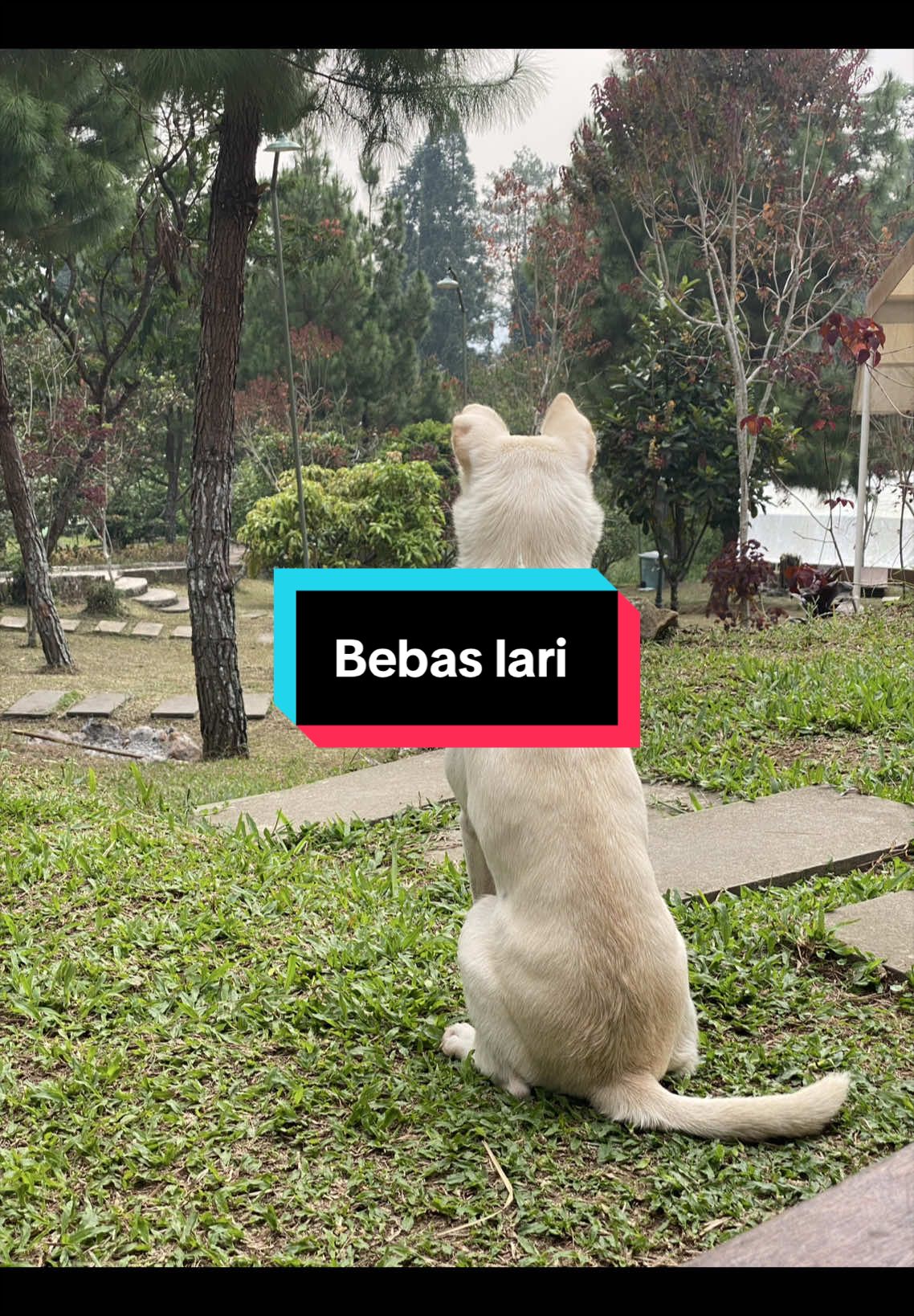 @Boboy.mayday