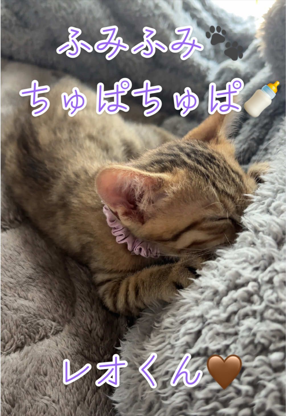 @はっぴー野郎☺︎