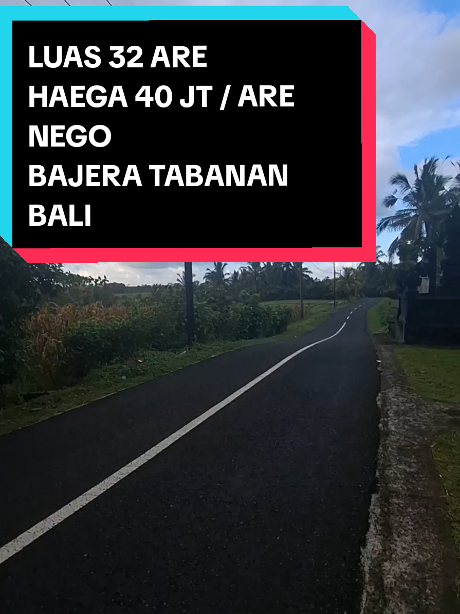 @Balinese Broker Bali