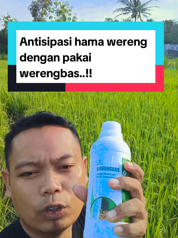 @Kang_Ewi