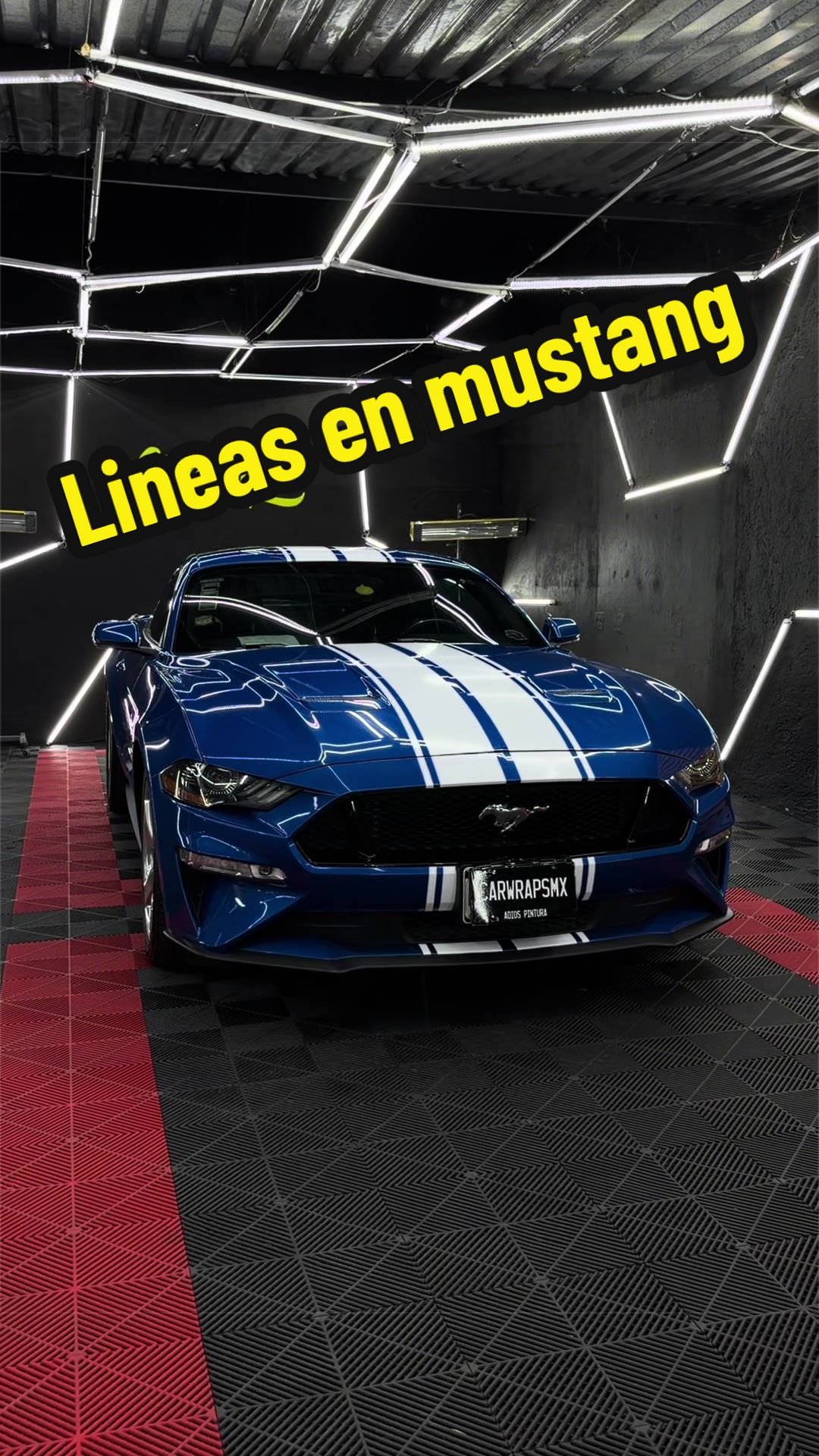 @car Wraps mx