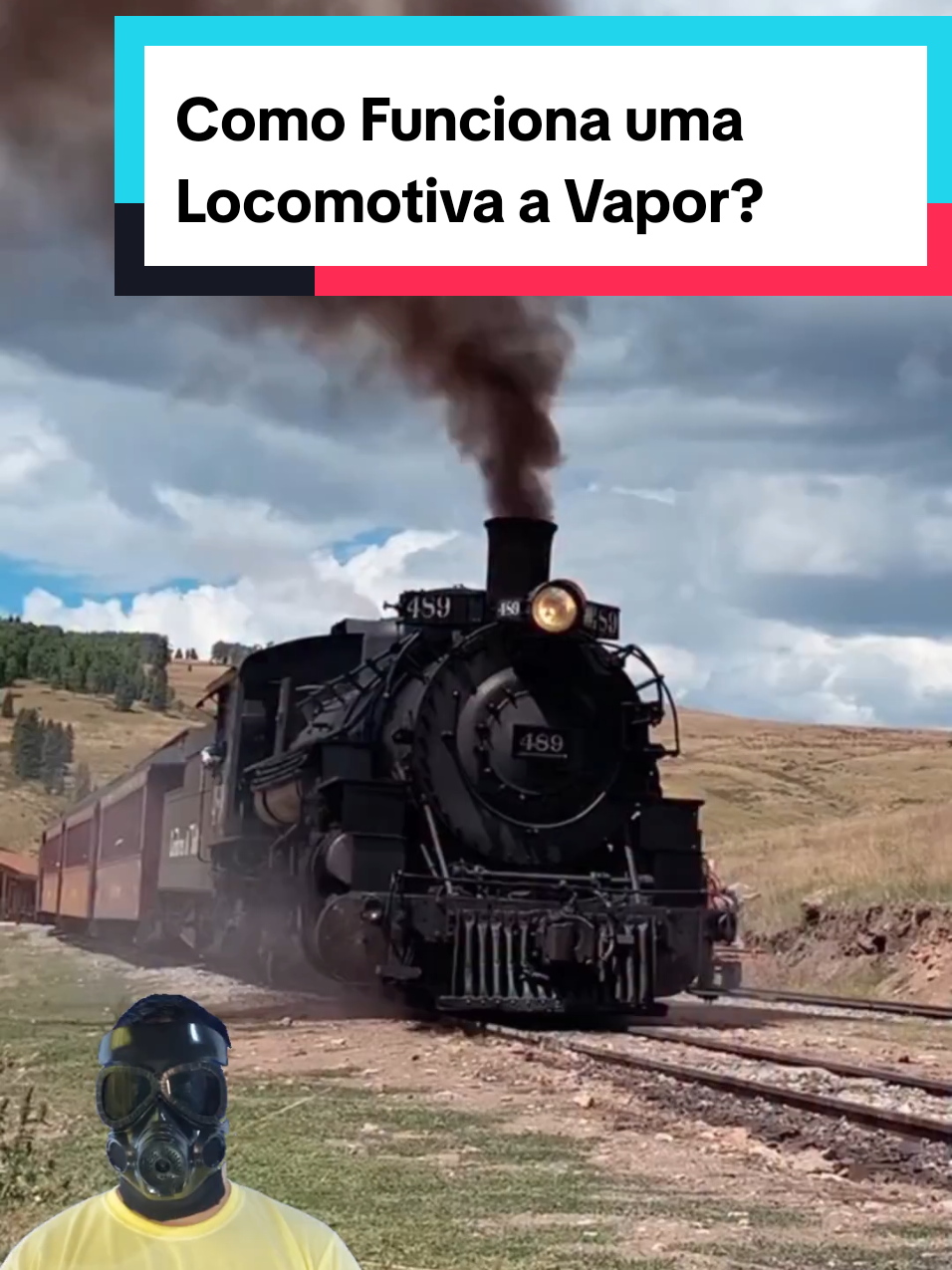 @Mundo da Curiosidades