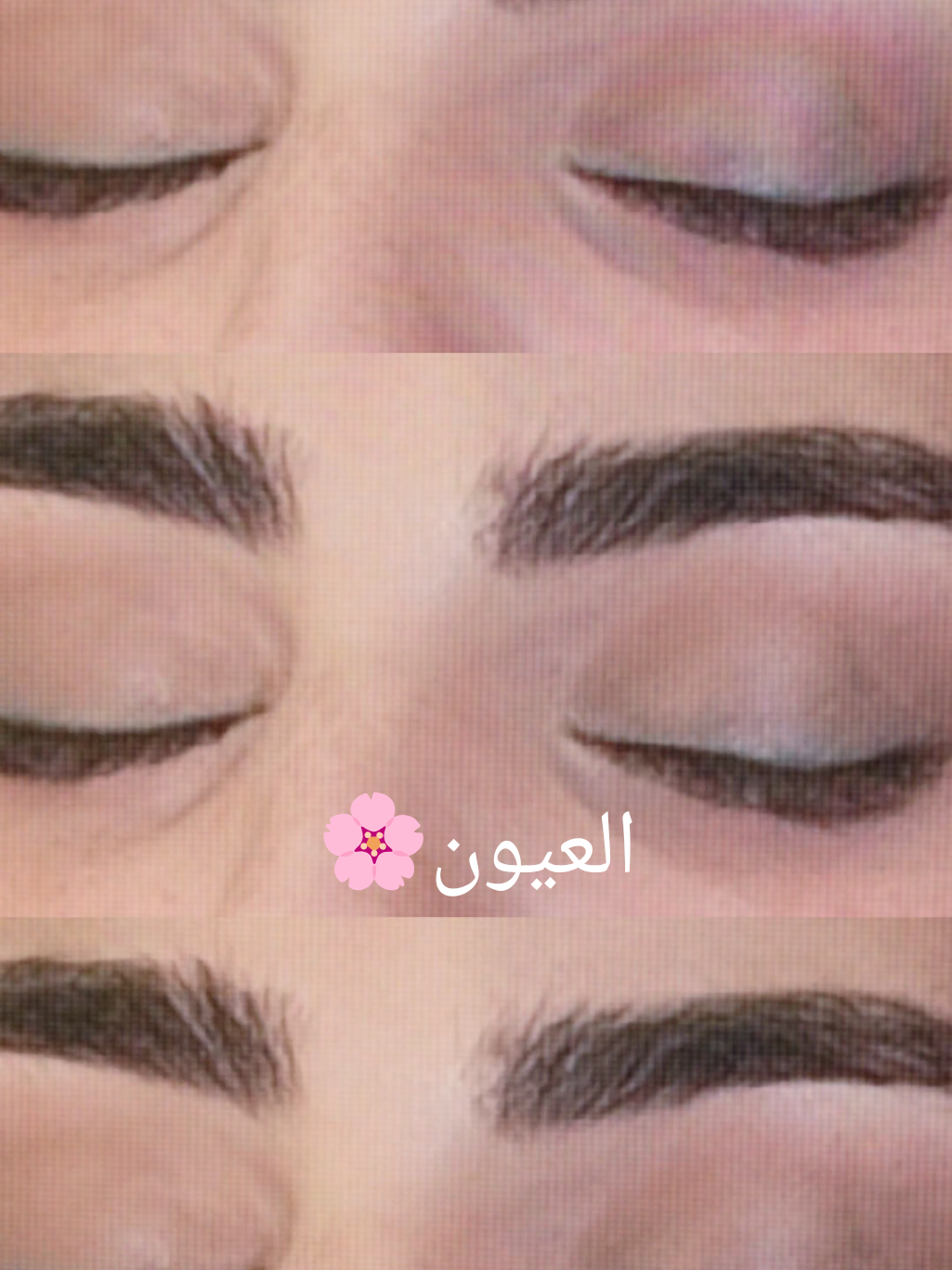 @Chazahob