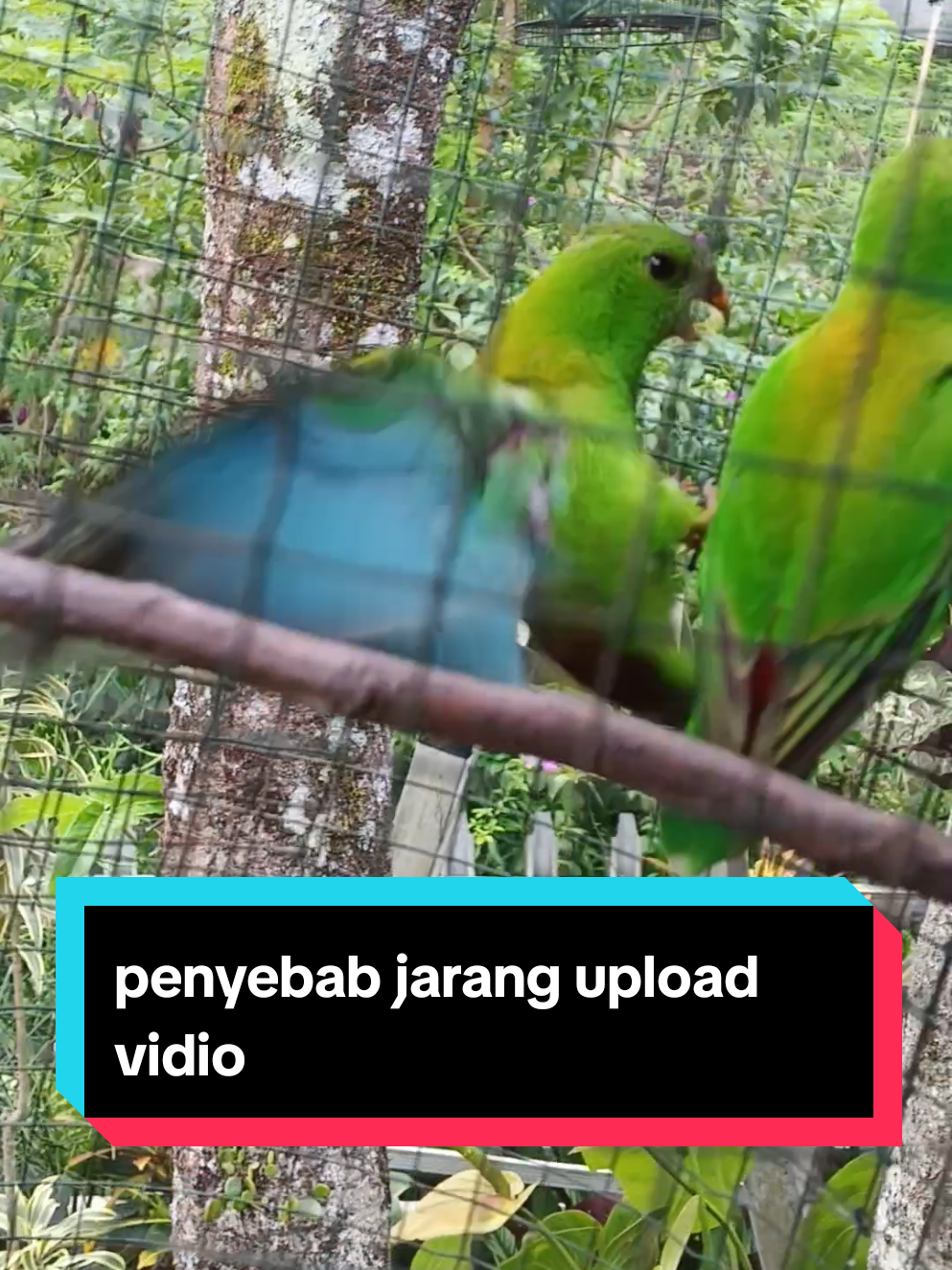 @PJr. EXPLORE