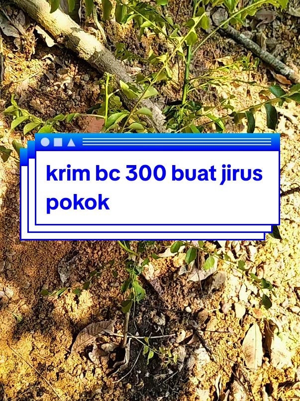 @Bc300 Oma Ainon | Bravo Biz