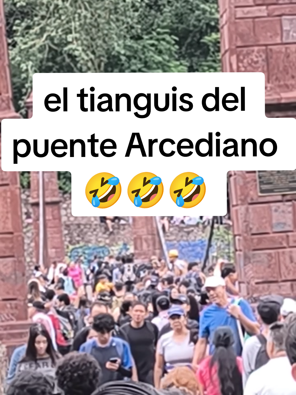@RA&Uacute;L FL💙