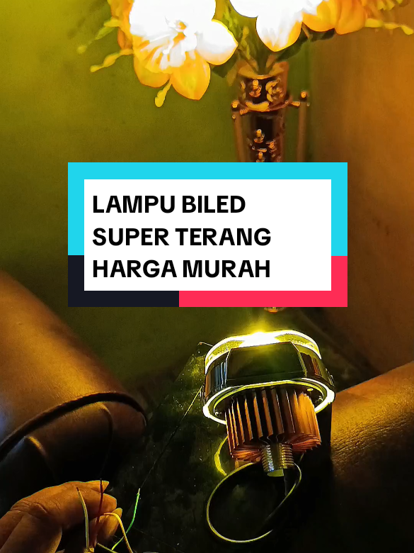@yunfa lovers