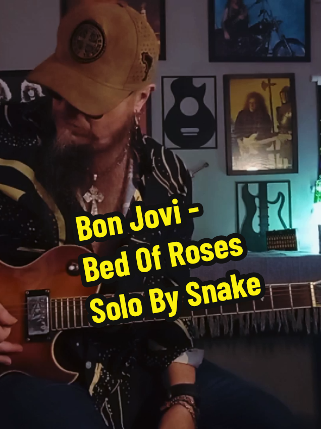 @Snake Guitar Brasil