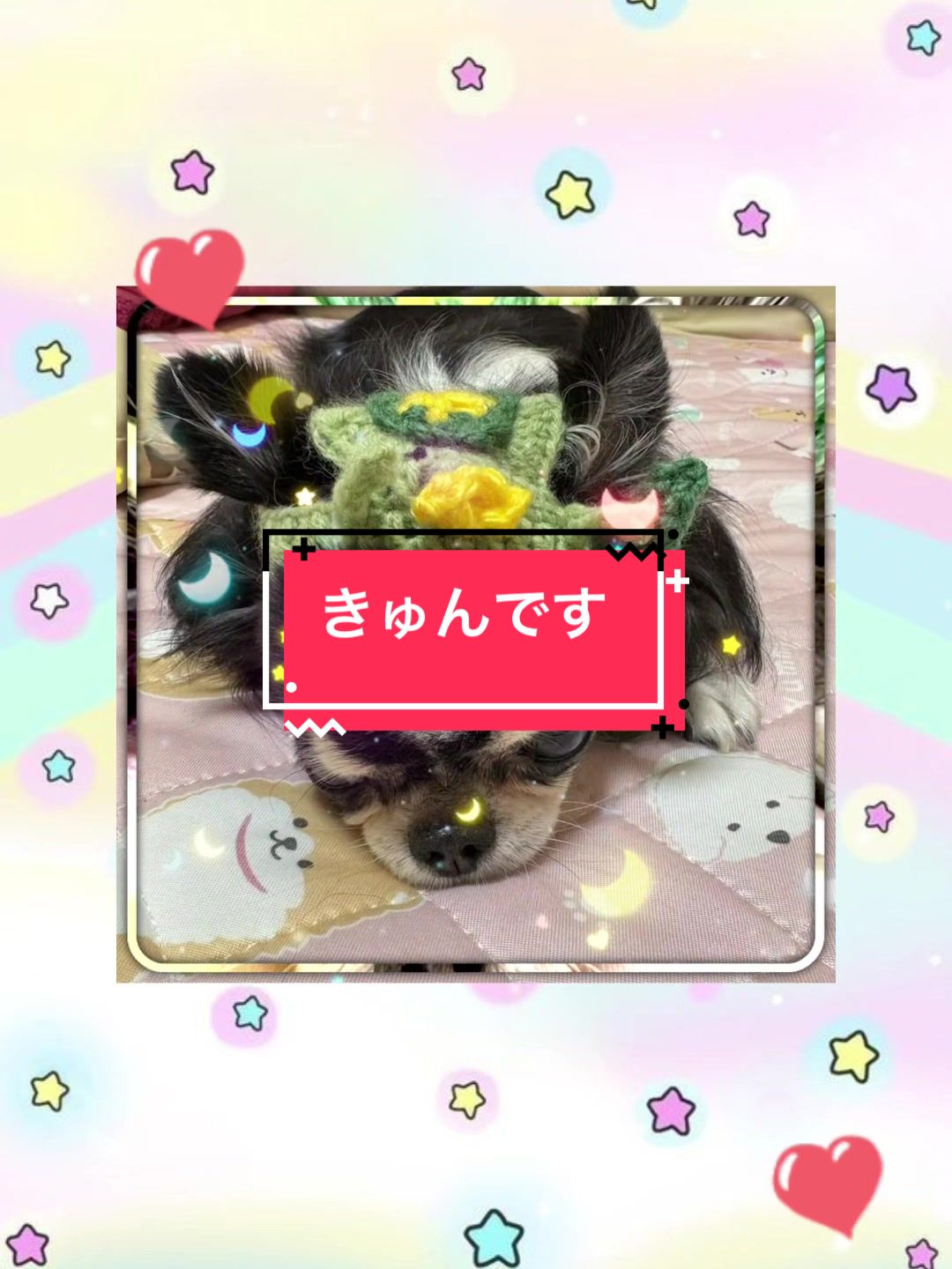 @ニンニン🐶🩵🍀