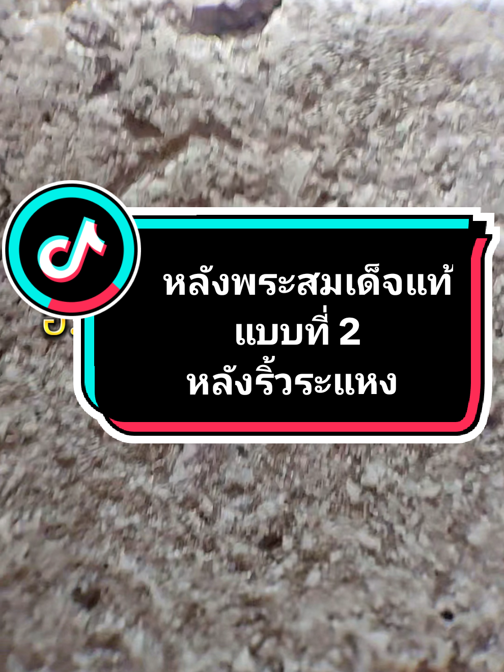 @บี กรมหลวง636