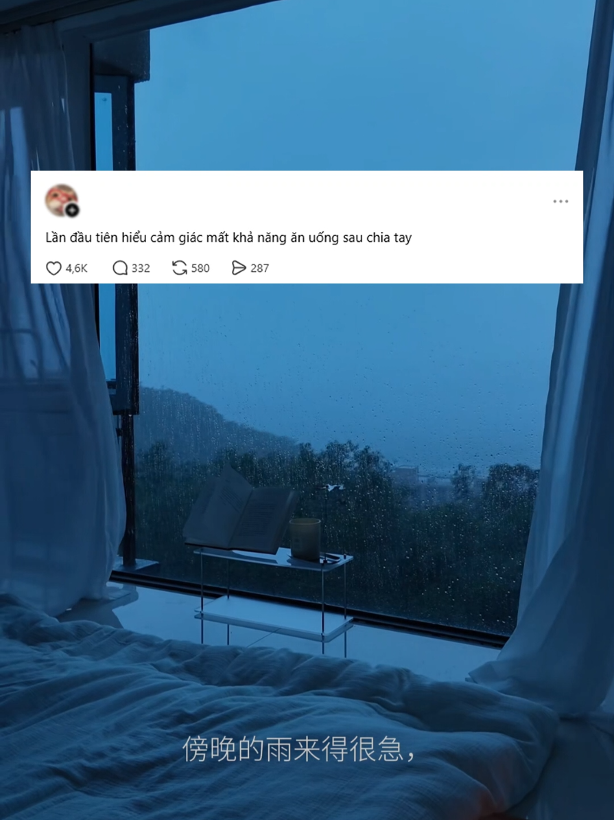 @Anne tr&ecirc;n g&aacute;c m&aacute;i