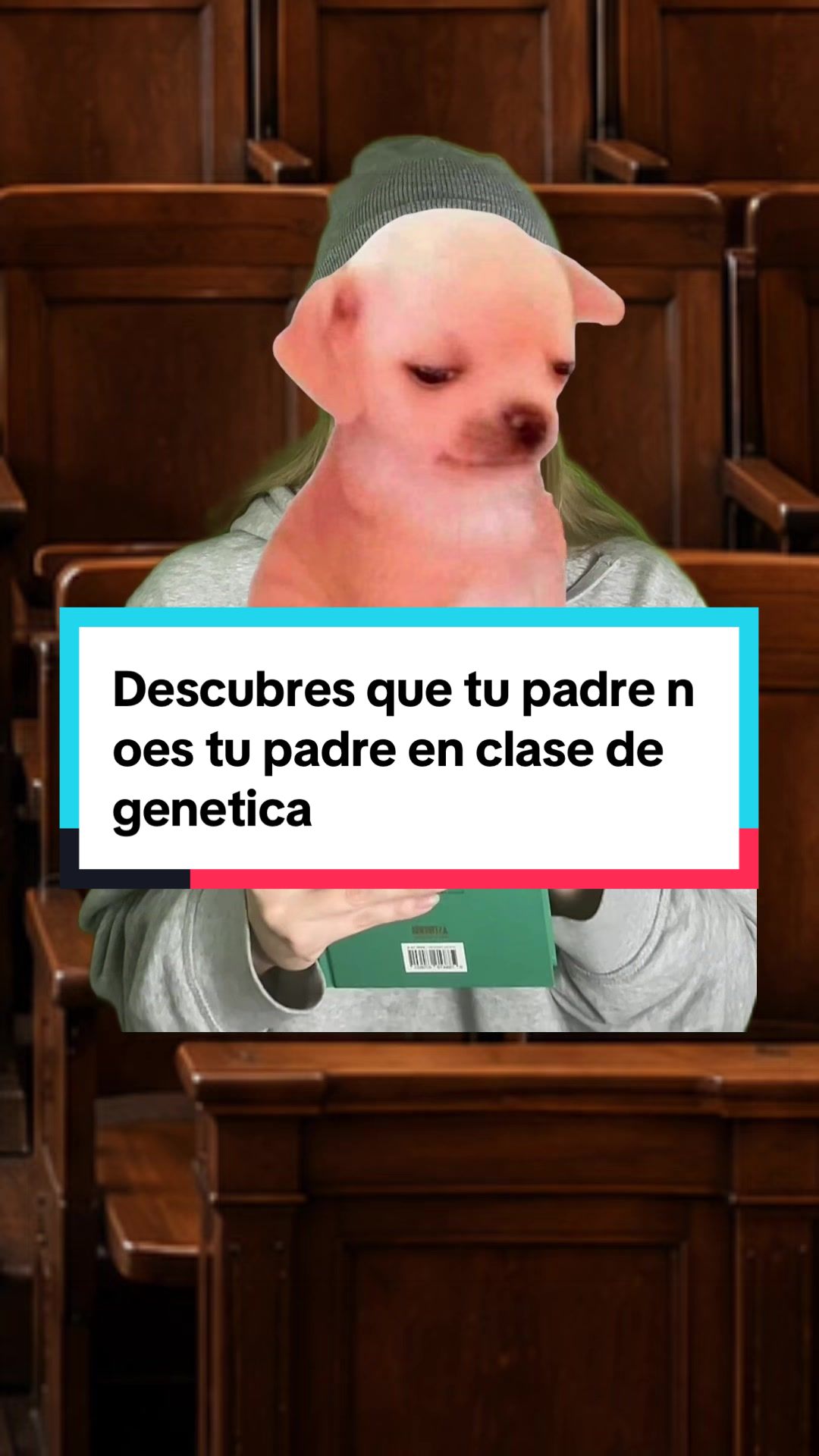 @Andy Enriquez