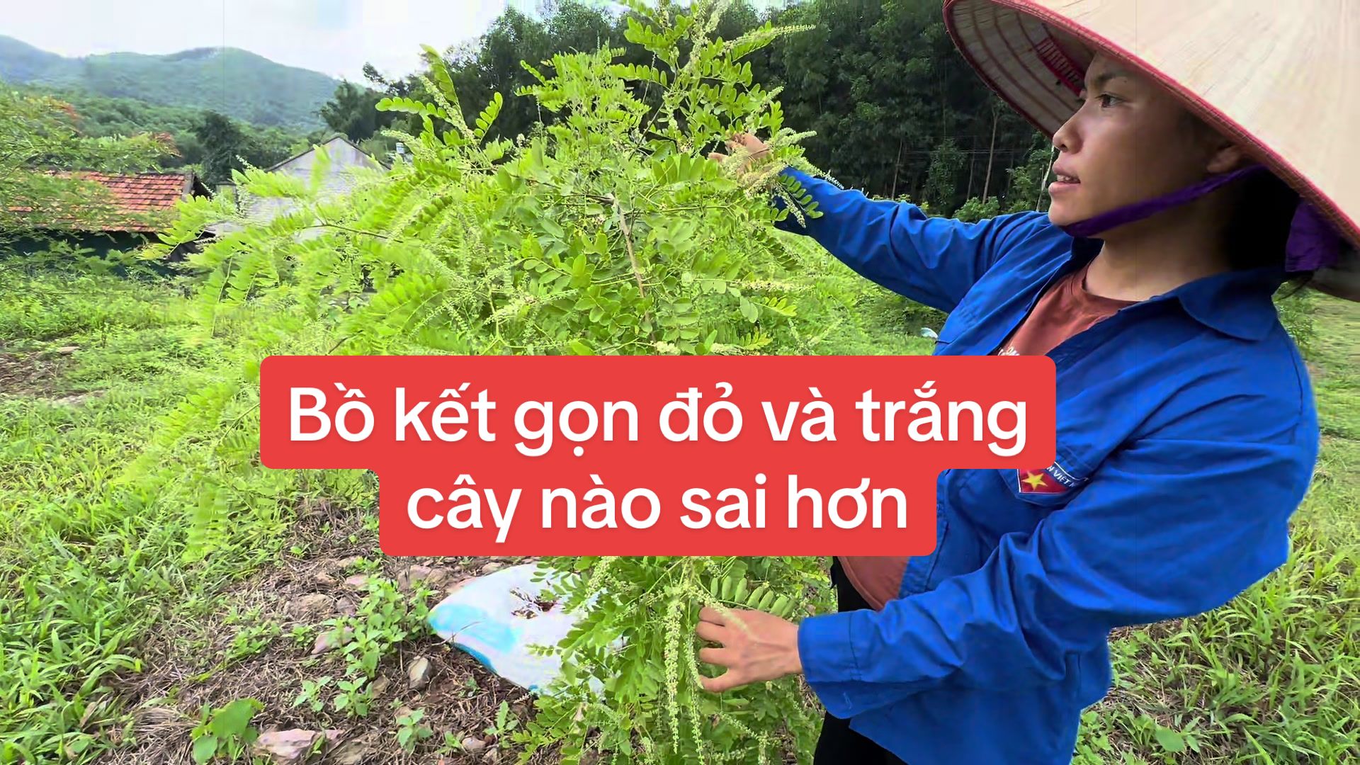 @Nhà Vườn Vũ Mai