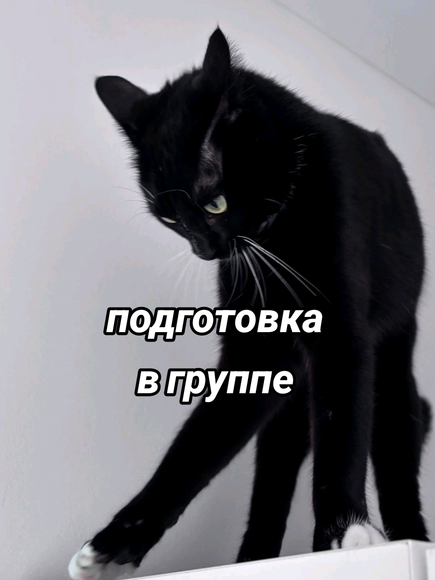 @Глеб | История и общество