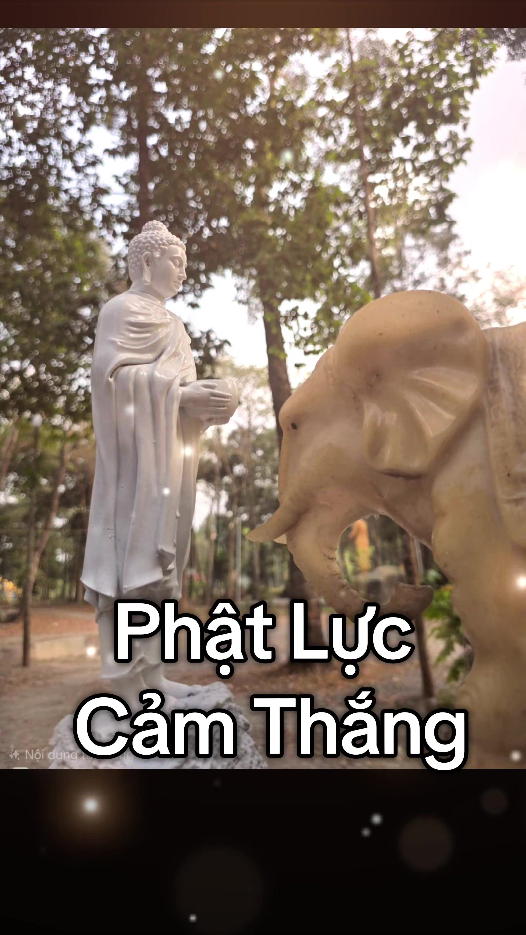 @Phước Bảo &Acirc;n
