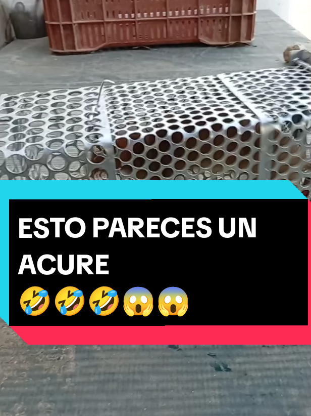 @alejandroenbrasil