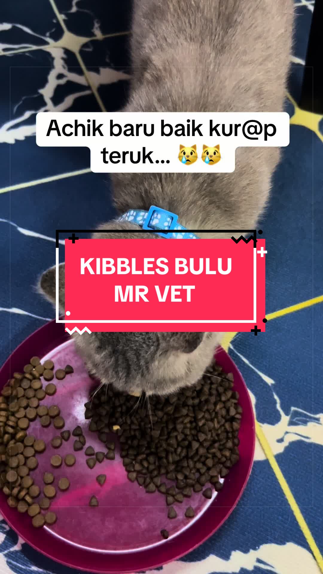@MUHDMUJA ๐โฌ